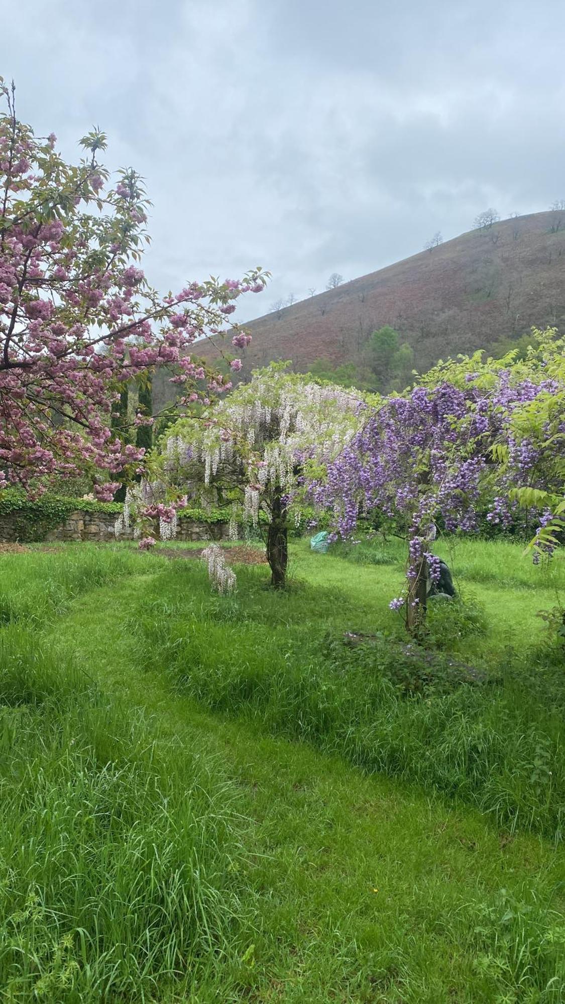 Saint-Martin-dʼArrossaEtxe Arrosa公寓 外观 照片